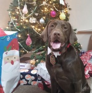 Meet your Posher, Breton